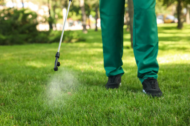 Pest Prevention Services in Ojai, CA