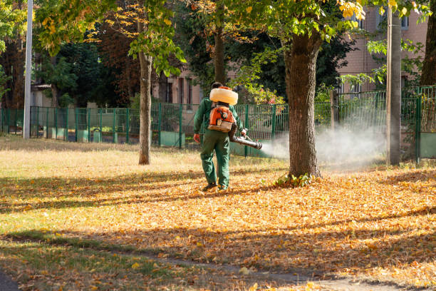Best Affordable Pest Control Services  in Ojai, CA